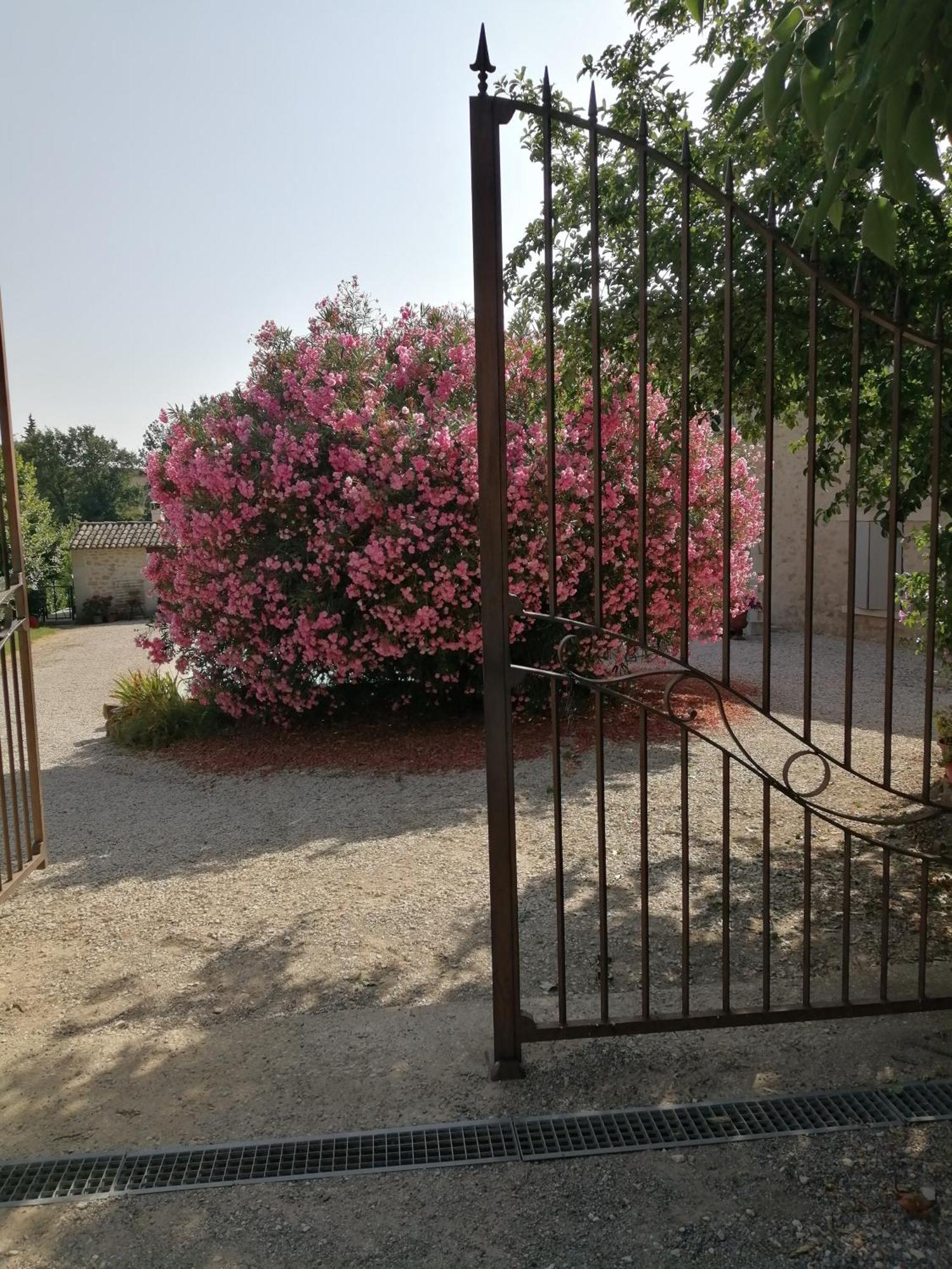 Chambres D'Hotes Le Vignoble Cucuron Exterior photo